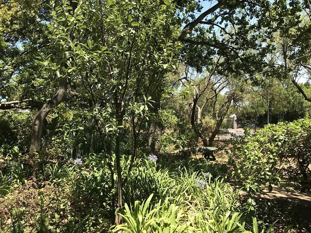 Helderbos Country House Somerset West Πανσιόν
